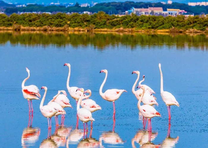 Mobile Ouireves 95 Facing The Mediterranean Hébergement de vacances Lattes